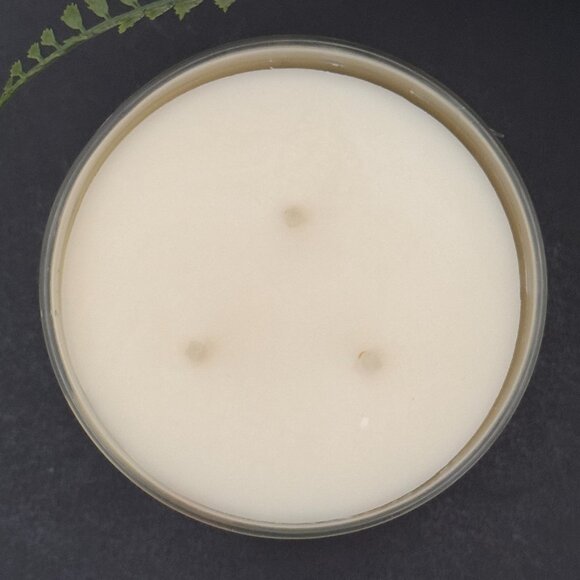 BBW Backyard Honeysuckle Bath & Body Works 3 Wick Candle - Picture 7 of 10